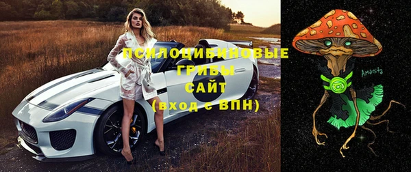 СК Елизово