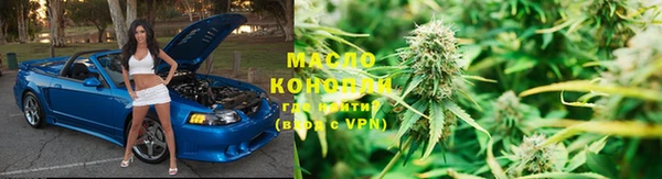 СК Елизово